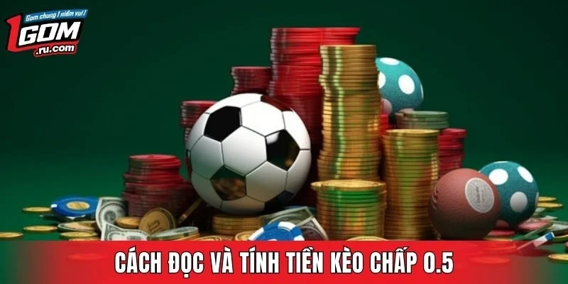 Hướng dẫn thao tác đọc kèo và xác định kết quả