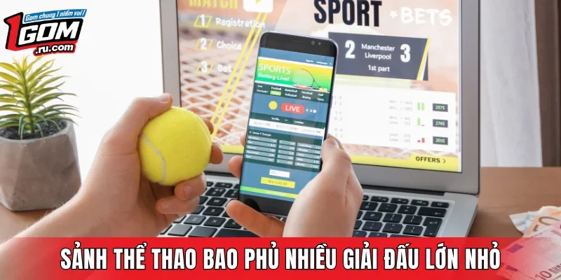 Sảnh thể thao bao phủ nhiều giải đấu lớn nhỏ