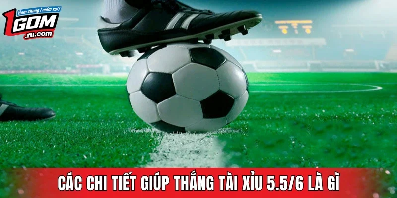 Các chi tiết giúp thắng Tài Xỉu 5.5/6 là gì