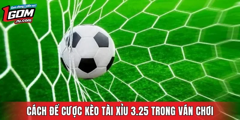 Cách để cược kèo Tài Xỉu 3.25 trong ván chơi