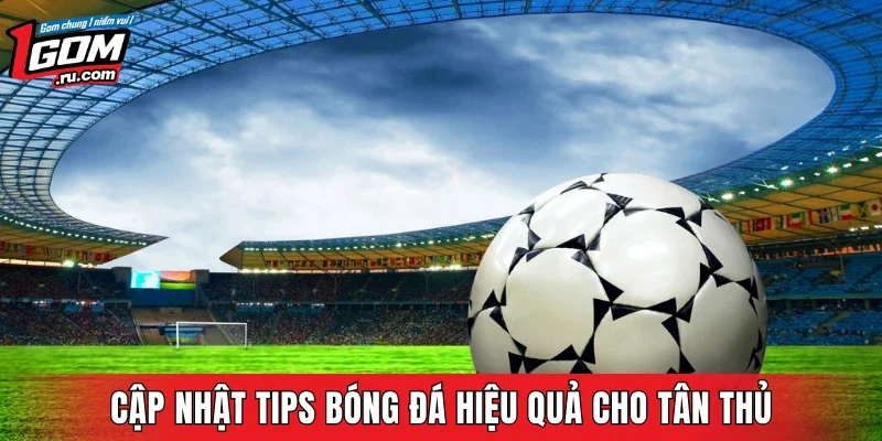 Cập nhật tips bóng đá hiệu quả cho tân thủ