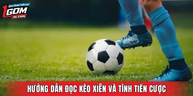 Hướng dẫn chi tiết cách đọc vé và xác định kết quả