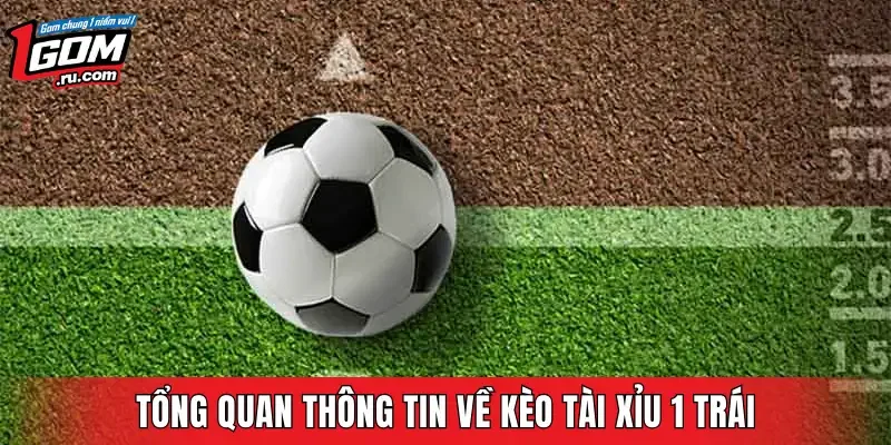 Tổng quan thông tin về kèo Tài Xỉu 1 trái